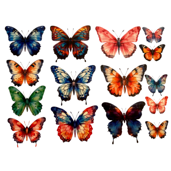 MARIPOSAS