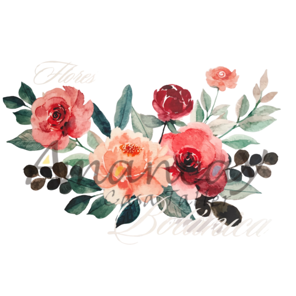 ROSAS