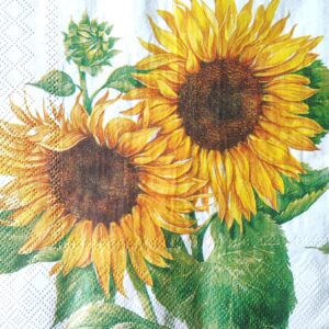 GIRASOLES