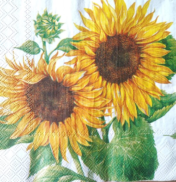 GIRASOLES