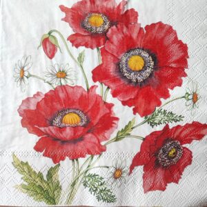 AMAPOLAS