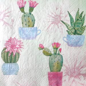 CACTUS