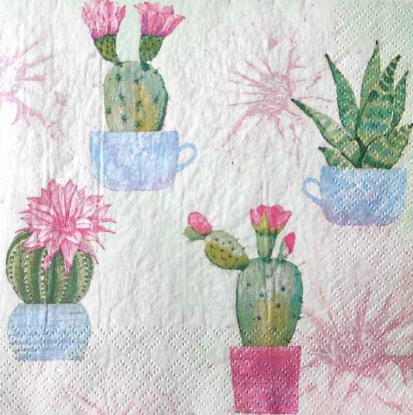 CACTUS