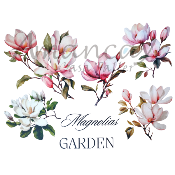 MAGNOLIAS 20 X 30