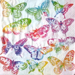 MARIPOSAS ARCOIRIS