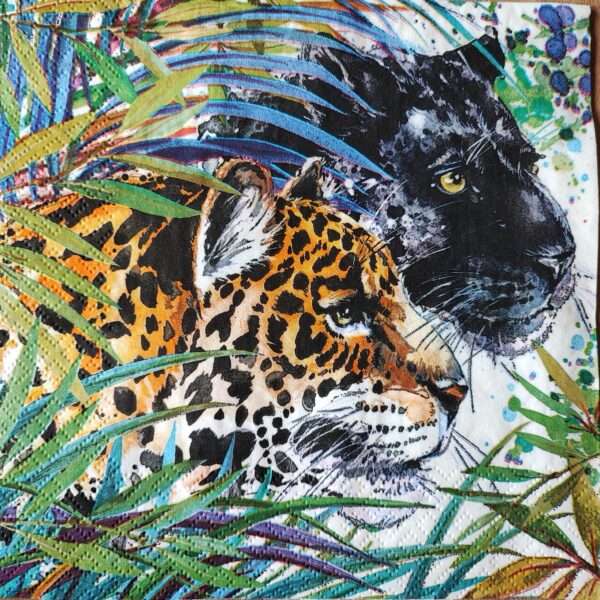 DOS JAGUARES