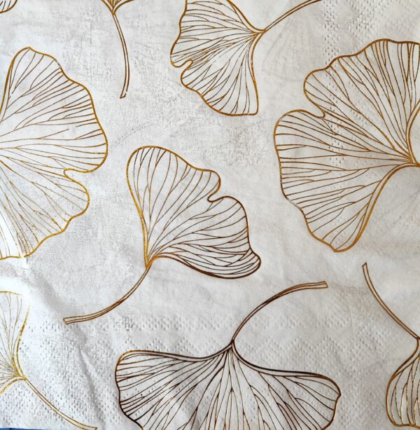 GINKGO BILOBA
